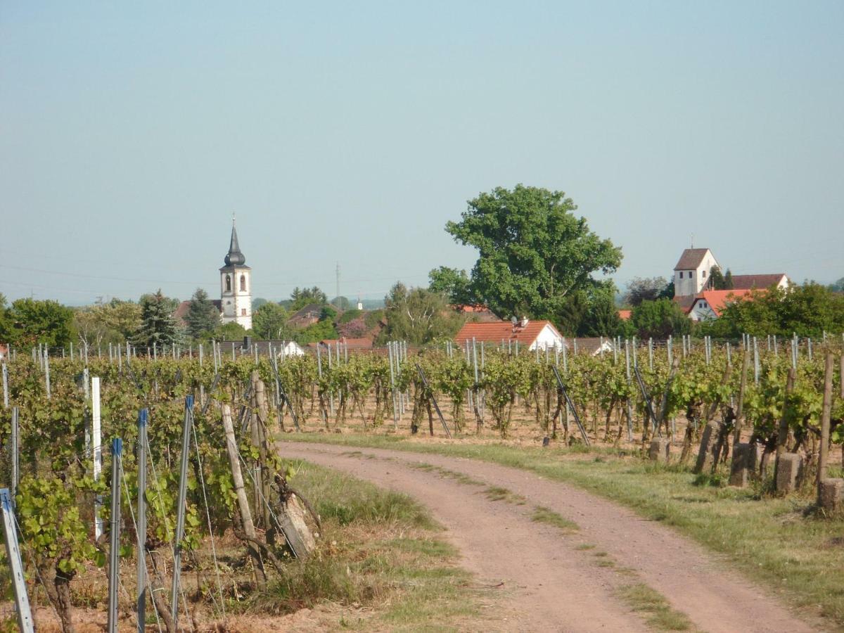 Ferienwohnung Suedpfalz Weingarten  Екстер'єр фото